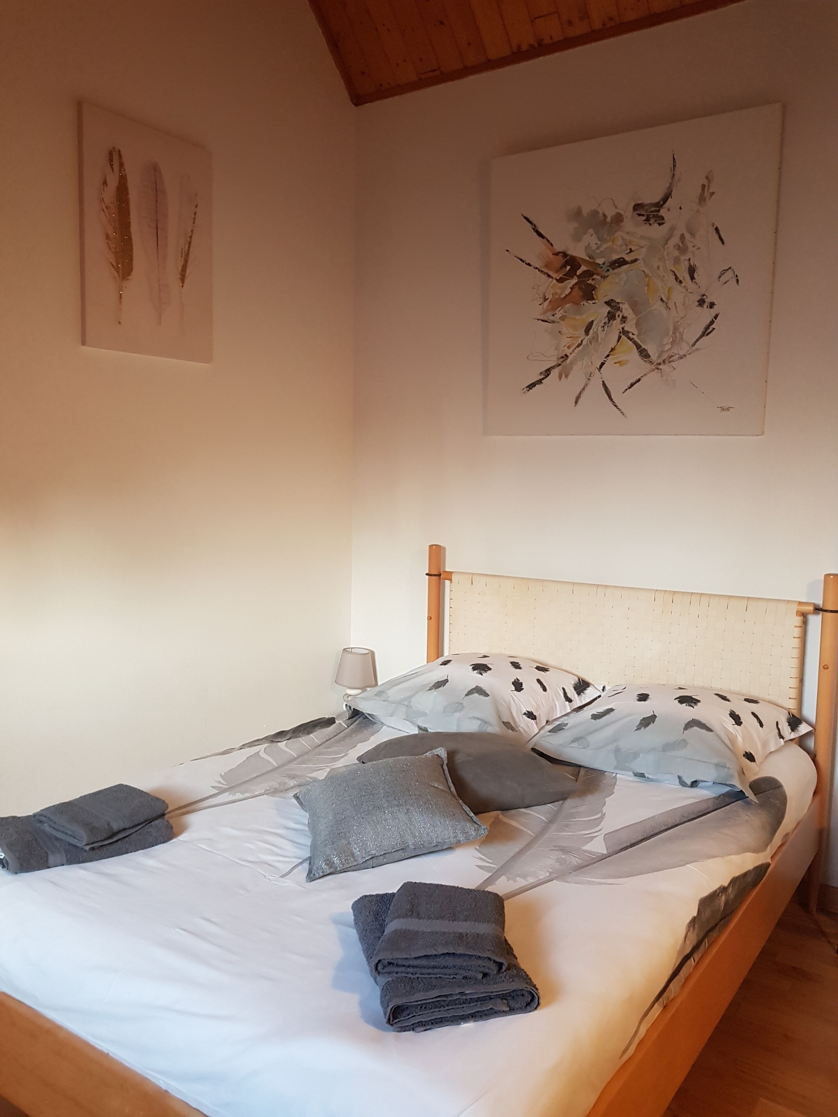 chambre  plume 2 personnes 