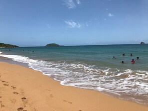 Nära stranden