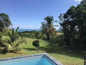 Property grounds - Luxury villa between Deshaies and Ste Rose, private pool, sea & mountain views (Duzer)