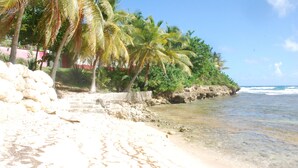 Una playa con agua cristalina, palmeras y una costa rocosa.