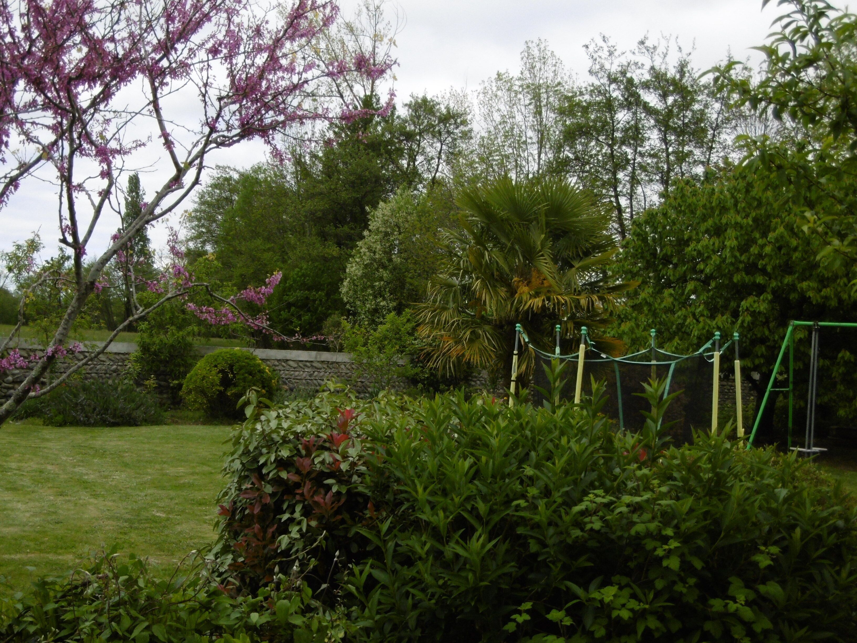 Een tuin met diverse planten en een schommel.