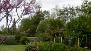 Un jardin avec différentes sortes de plantes et un ensemble de jeux avec une balançoire.