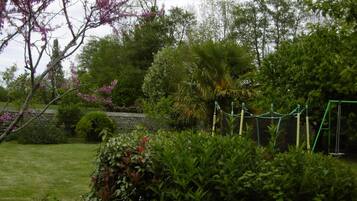 Een tuin met diverse planten en een schommel.