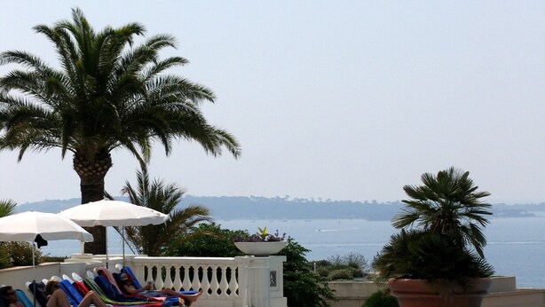 A poolside area with lounge chairs and umbrellas, a palm tree, and a view of the sea.