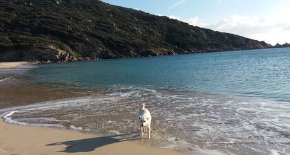 Villa sul mare,climatizzata,wi fi ,per una vacanza serena