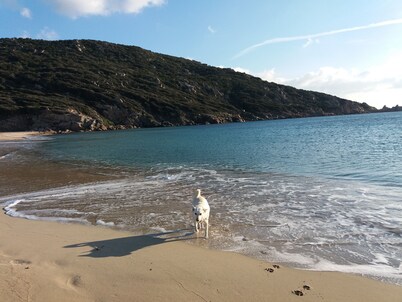 villa marina , climatised,wi-fi, private garden and parking.