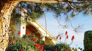 A stone staircase leading up to a building with a sloped roof, surrounded by lush greenery and red flowers. - villa marina , climatised,wi-fi, private garden and parking. (Sartène)