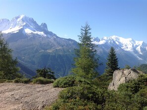 A mountainous landscape with snow-capped peaks, dense forest, and rocky terrain.
