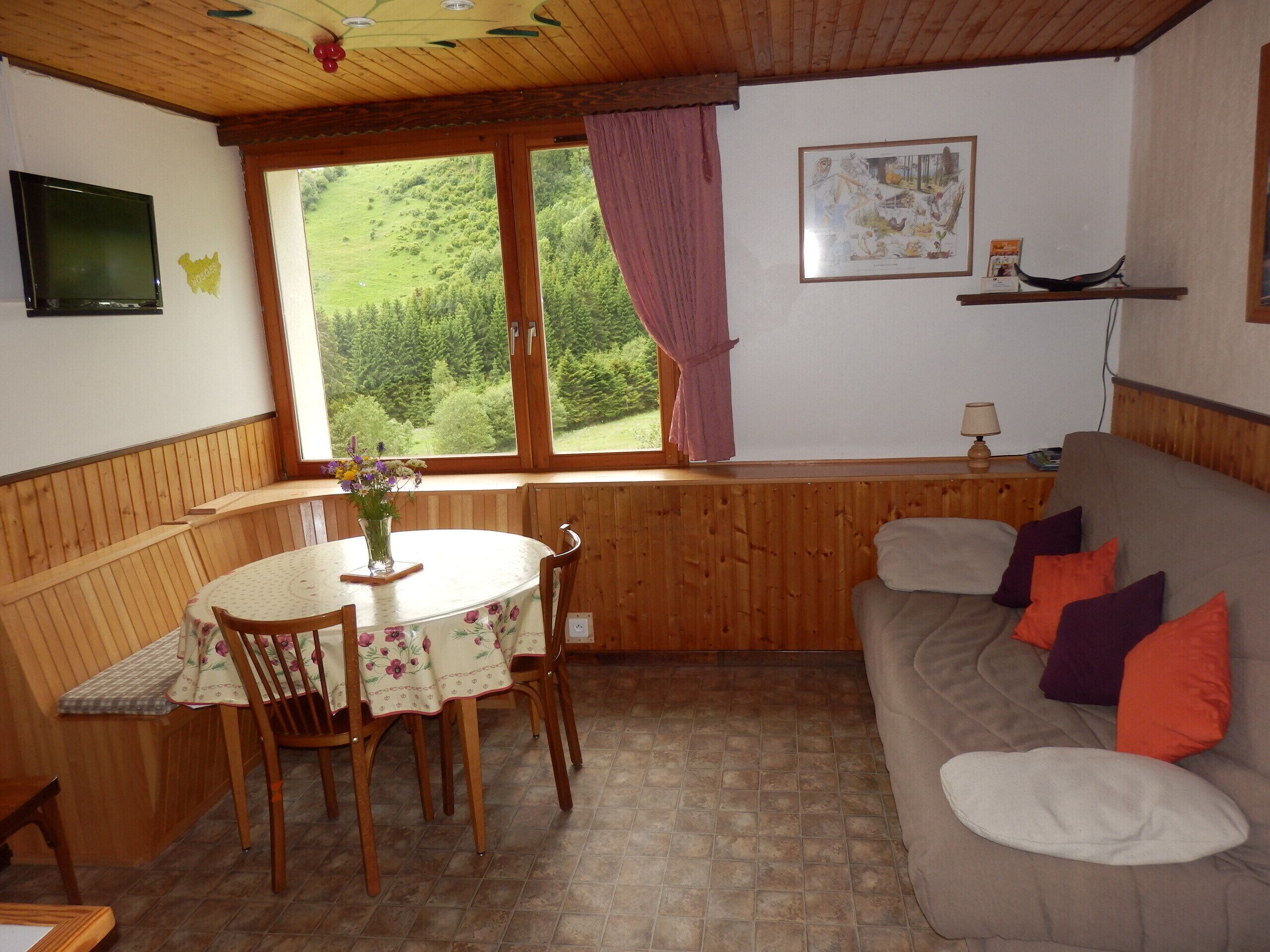 Stijl Chalet Appartement / Afgelegen / Wandelingen Op Site / Gratis Wifi - La Bresse