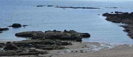 Nära stranden