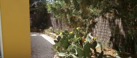Een binnenplaats met een gele muur, een witte plastic stoel en verschillende planten, waaronder cactussen.