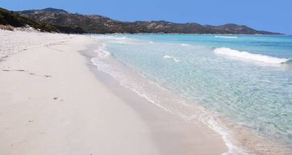 Appartement avec petit jardin et place de parking, au coeur de Saint Florent.