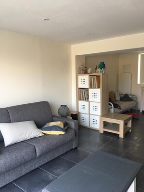 Televisie, een dvd-speler, een filmbibliotheek en een stereo