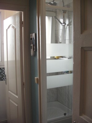 Shower, hair dryer, soap, toilet paper