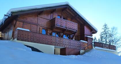 Independent chalet on 2 levels with parking and WIFI classified 3 stars
