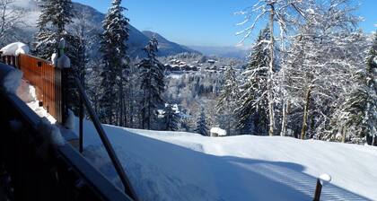 Independent chalet on 2 levels with parking and WIFI classified 3 stars