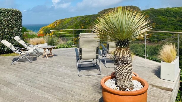Une terrasse en bois avec des chaises longues et un pot de fleurs.