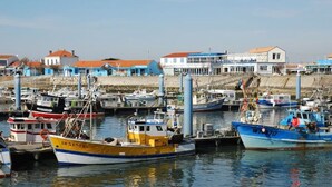 A marina with various boats docked, a building with a red roof, and a clear sky. - Former fisherman's house with pool in the heart of Old Cotinière (Saint-Pierre-D'oléron)