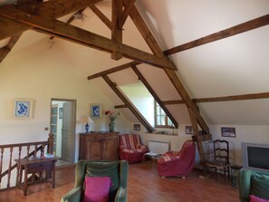 TV, fireplace, DVD player, books - Beautiful house in the woods on paths Colette (Saint-Sauveur-En-Puisaye)