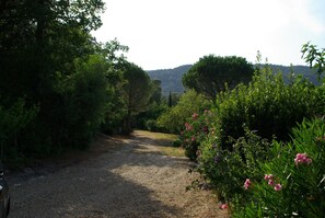 Terrein van de accommodatie