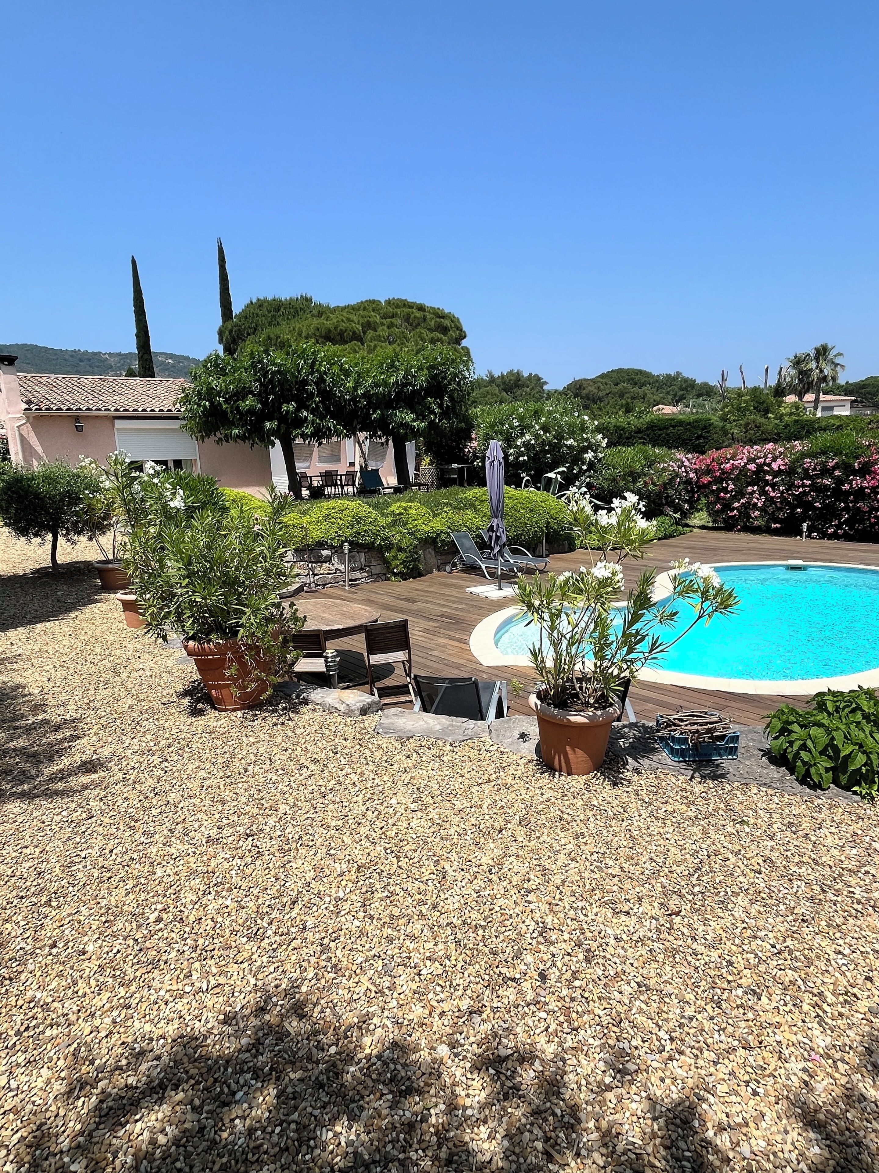 Un espace piscine doté d’une terrasse en bois, de chaises longues et de plantes en pot.
