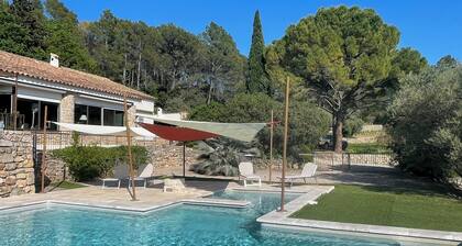 Domaine in Provence, vinyard