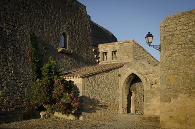 Charming house in medieval village with pond view terrace, private parking