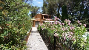 A rustic house with a stone pathway leading to the entrance, surrounded by lush greenery and flowering plants.