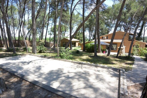 A secluded outdoor area with a concrete patio, surrounded by tall trees and a small building with a tiled roof.