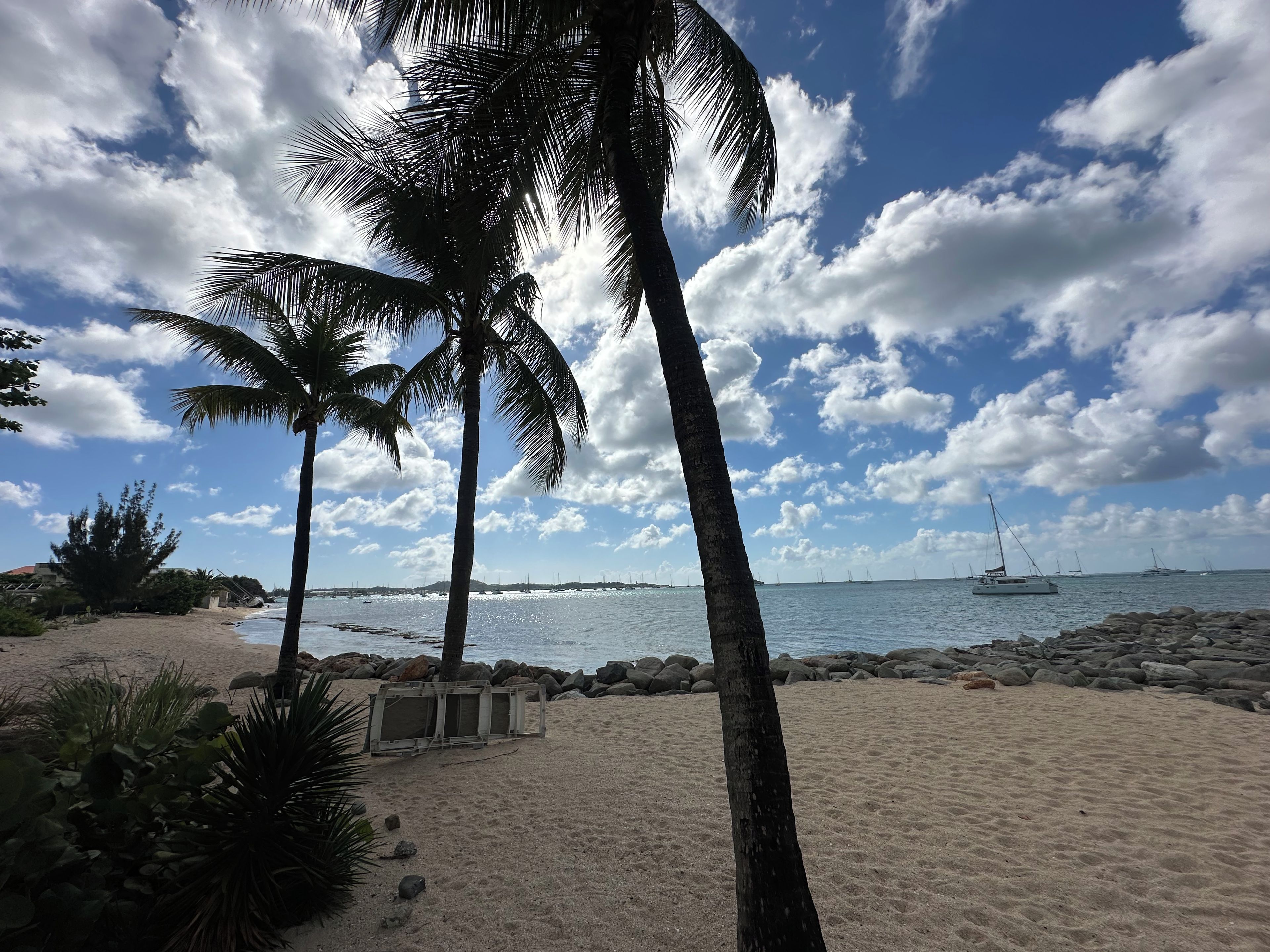 A beach with palm trees, a rocky shoreline, and sailboats in the distance.