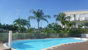 A swimming pool with a wooden deck, surrounded by palm trees and a fence.