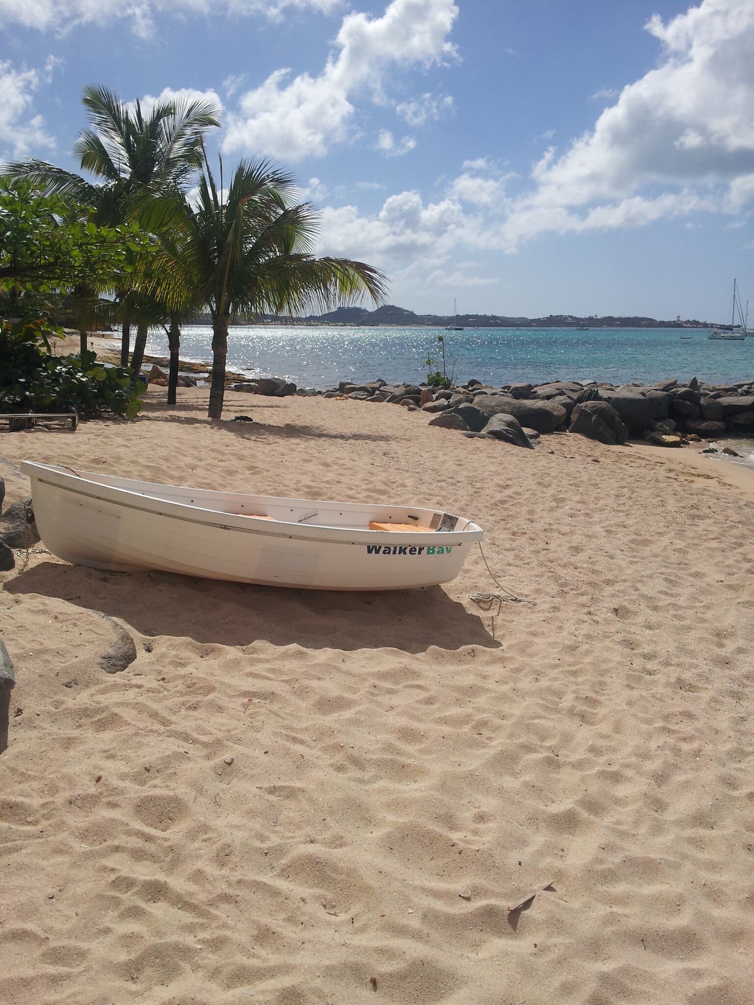 A small boat named 'WalkerBav' on a sandy beach with palm trees and a rocky shoreline.