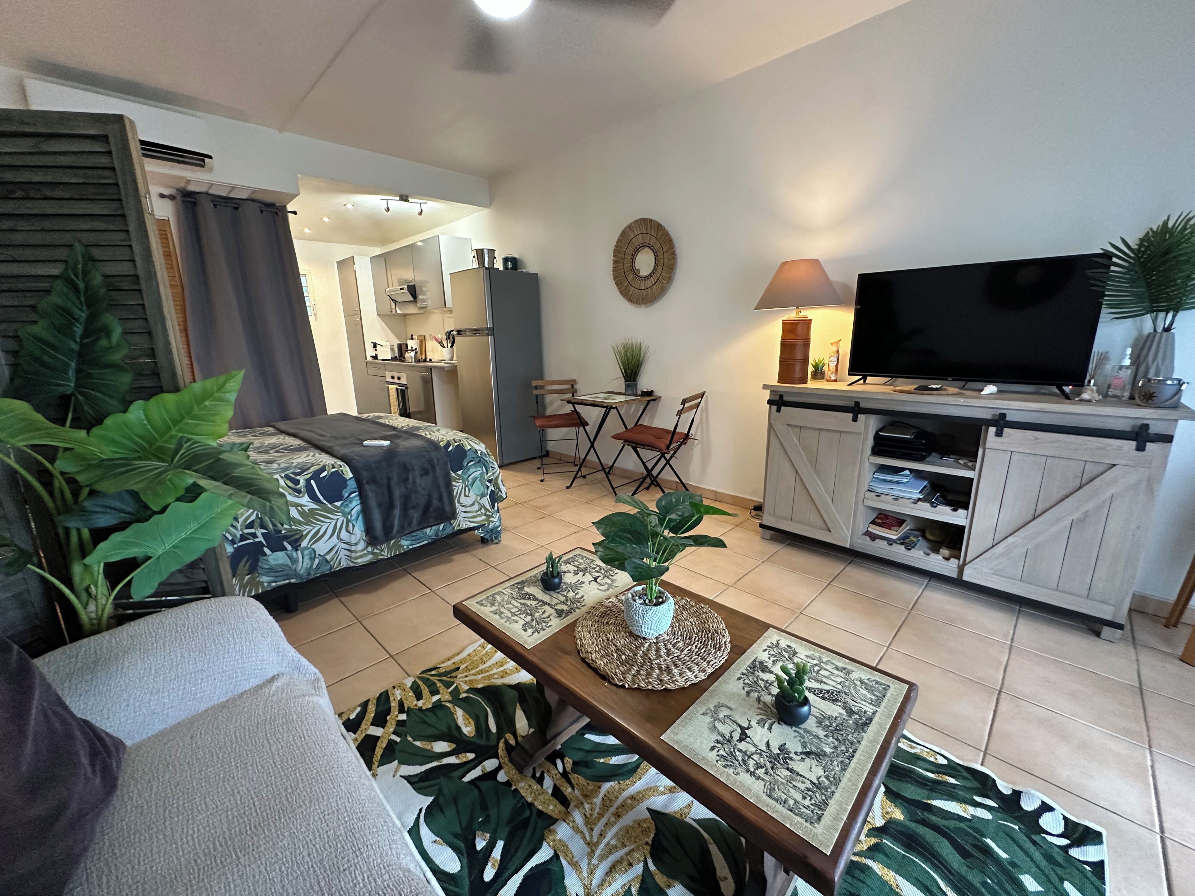 A compact living space with a sofa, a coffee table with a plant, a TV, and a kitchen area.