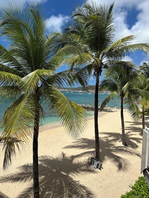 A beach with palm trees and a clear view of the ocean.