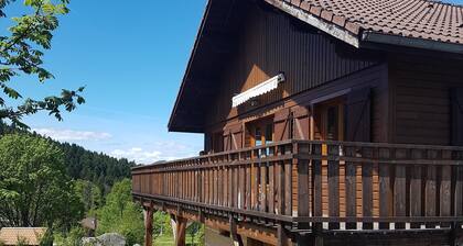 Attrayant chalet 8/10 personne Gerardmer