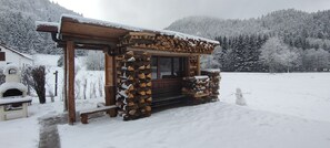 Property grounds - Quiet chalet in the heart of nature with lake view (Xonrupt-Longemer)