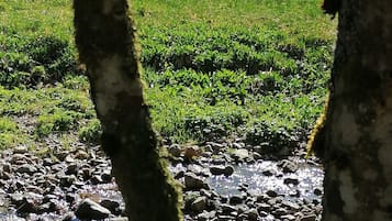 Terrain de l’hébergement 