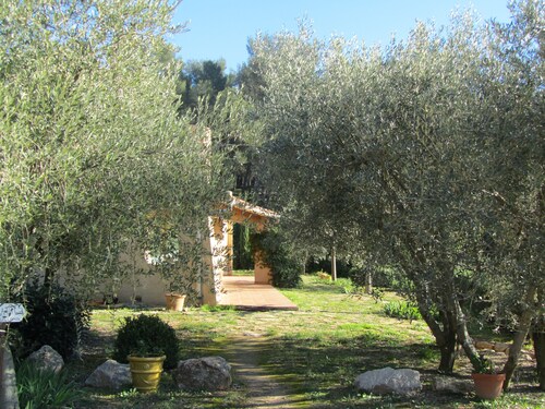 Sanary-sur-Mer, house on family property, within olive trees, near sea