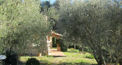 Sanary-sur-Mer, house on family property, within olive trees, near sea