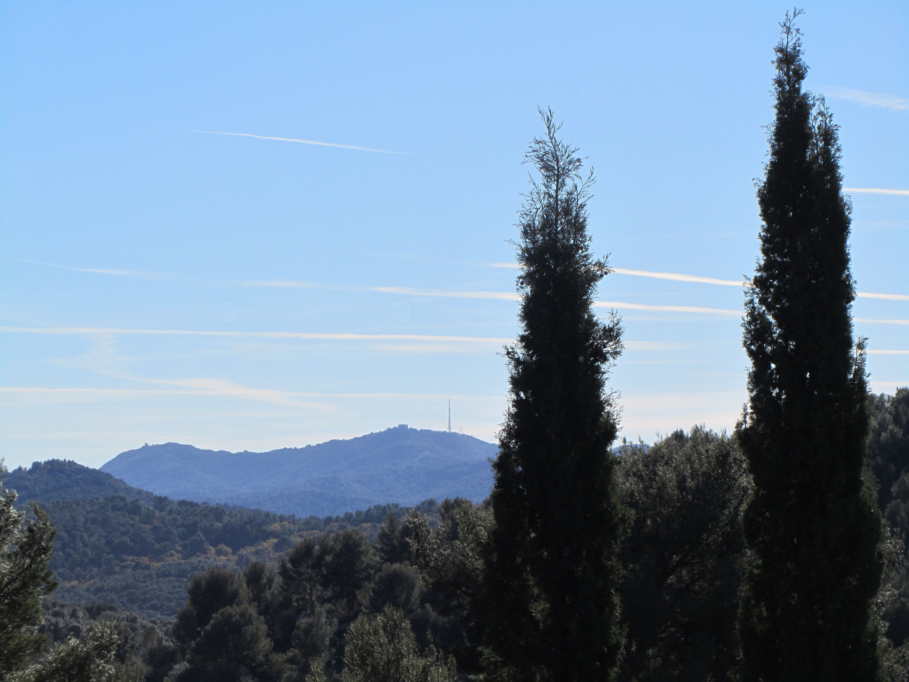 A mountainous landscape with tall trees and a clear sky.
