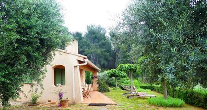 Maison dans propriété familiale, vue mer et colline, 3 kms SANARY sur MER