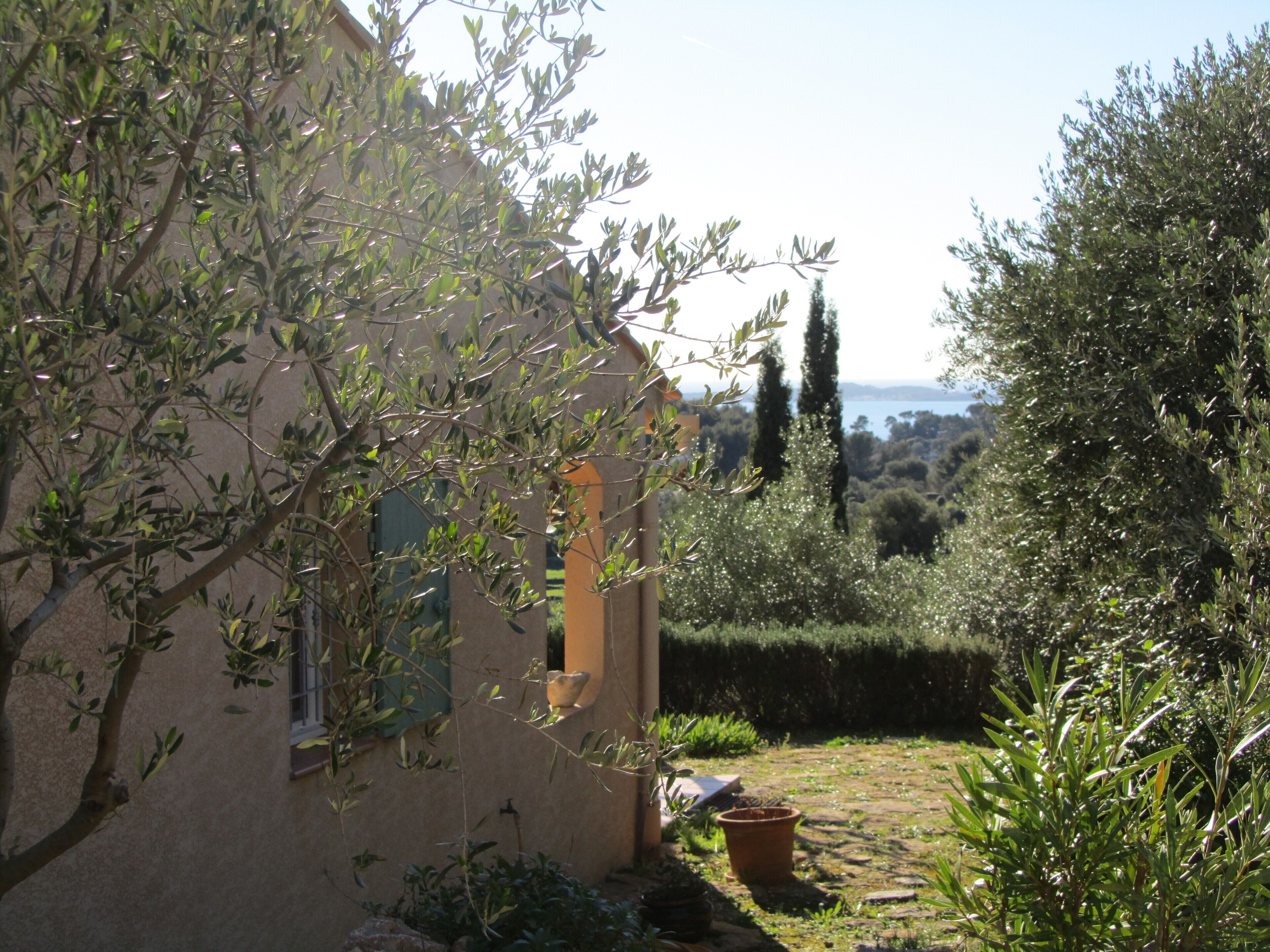 A house with a garden, a view of the sea, and a tall tree in the background.