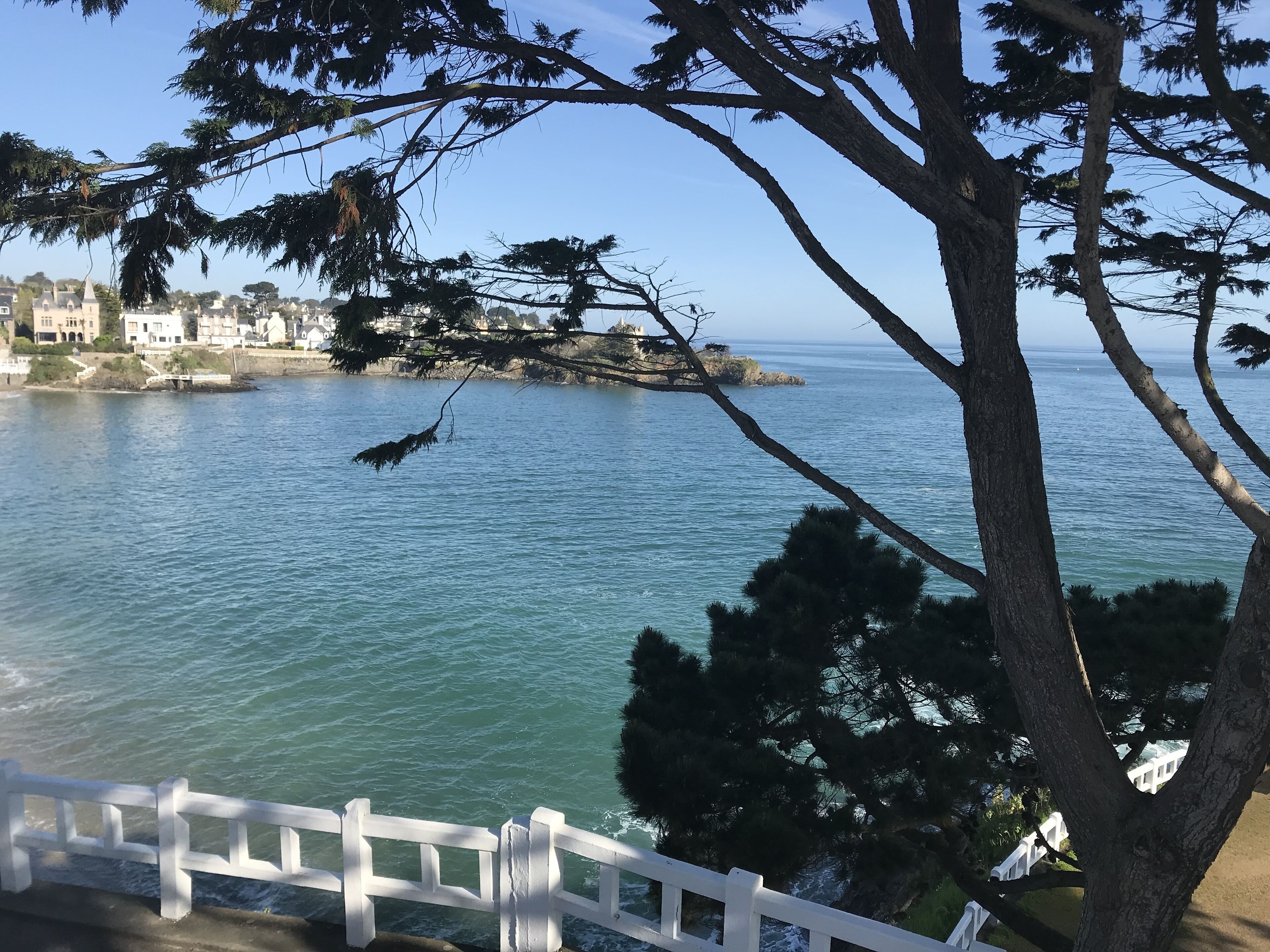 Vista desde la propiedad