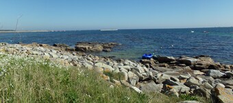 The sea for garden, home to four feet in water