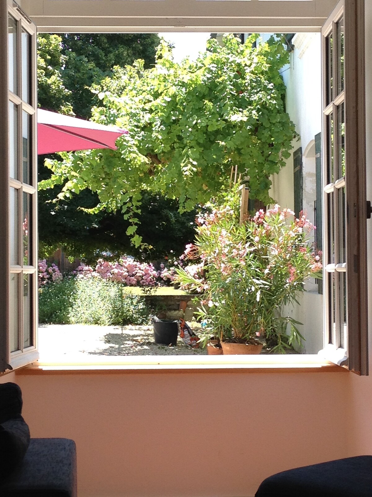 Imagen de perfil del propietario o de la propietaria