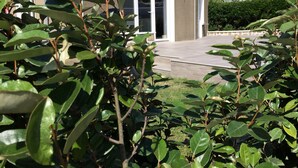 Une maison avec une porte d’entrée, un chemin en béton et, au premier plan, une végétation verdoyante.
