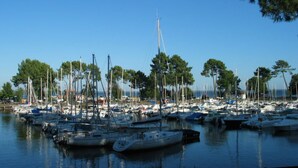 Un puerto deportivo con numerosas embarcaciones amarradas, rodeado de árboles y cielos despejados.