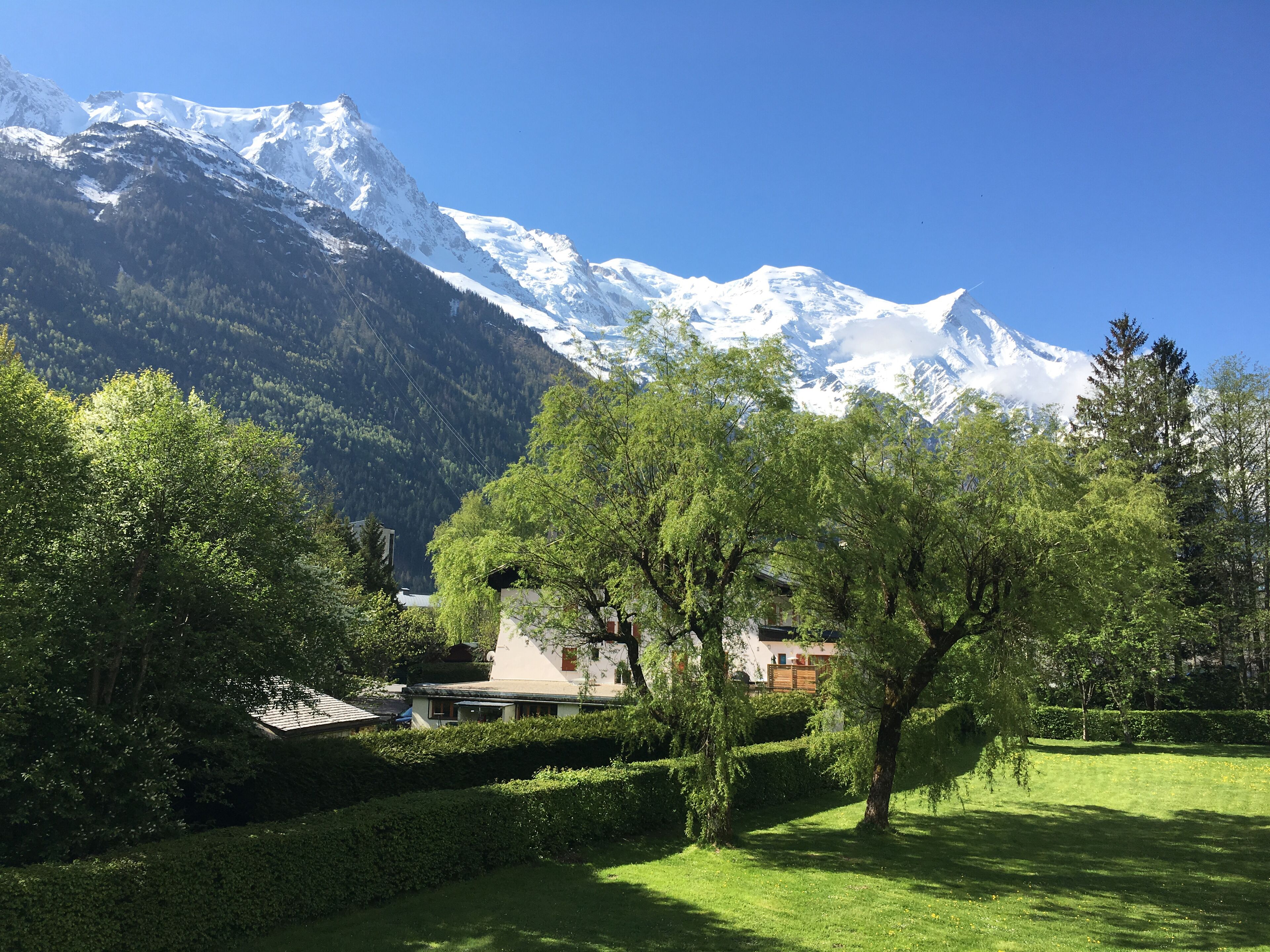 La vue sur le Mont-Blanc!