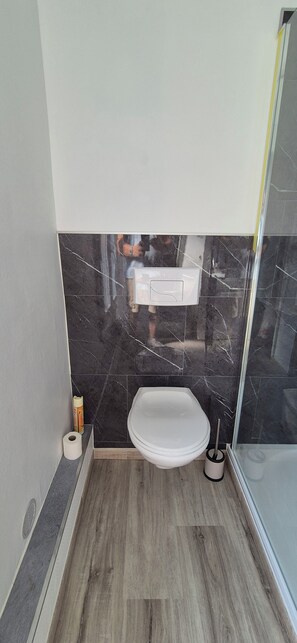 Baignoire, séchoir à cheveux, papier de toilette