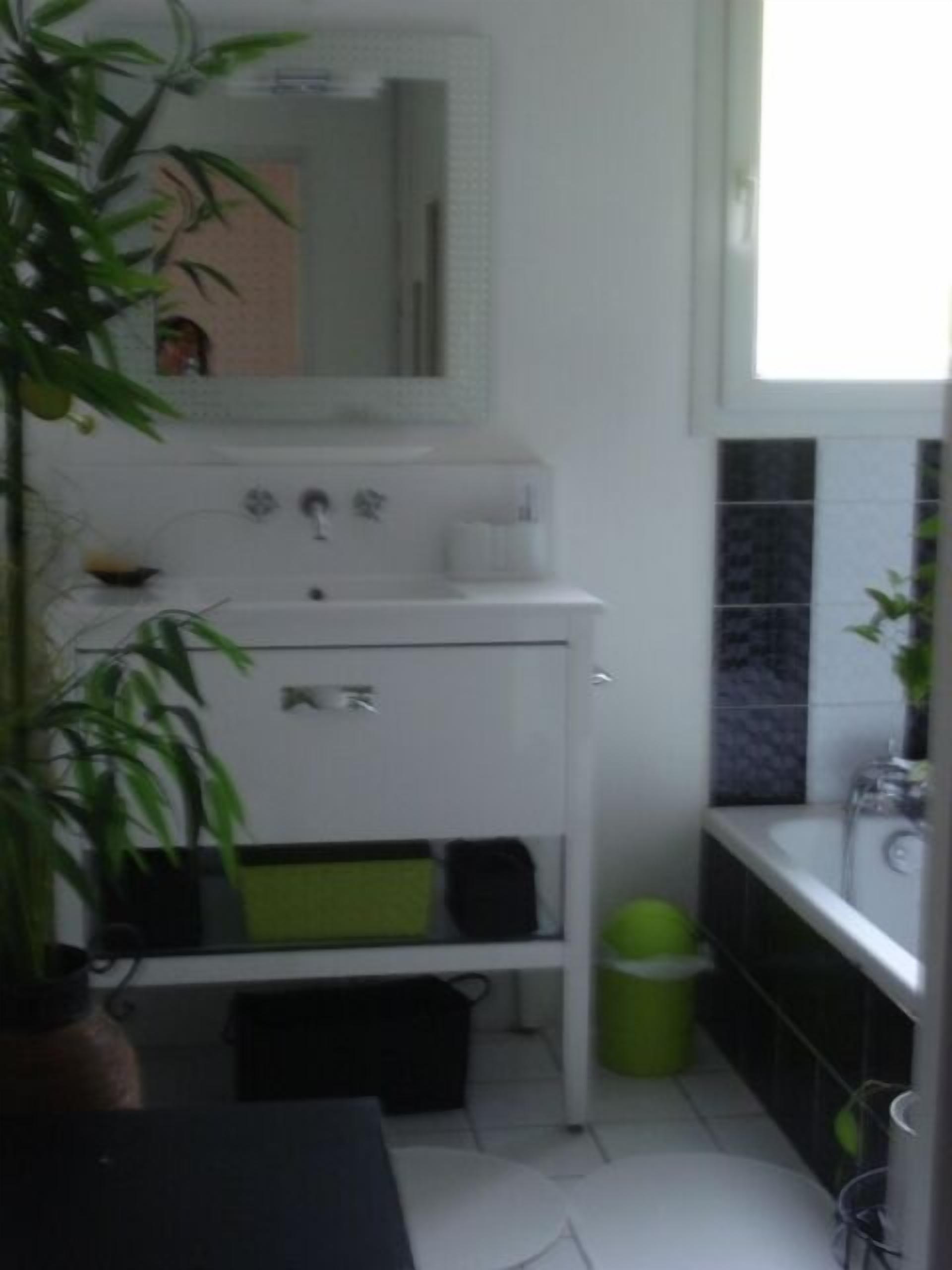 salle de bains commune avec baignoire 